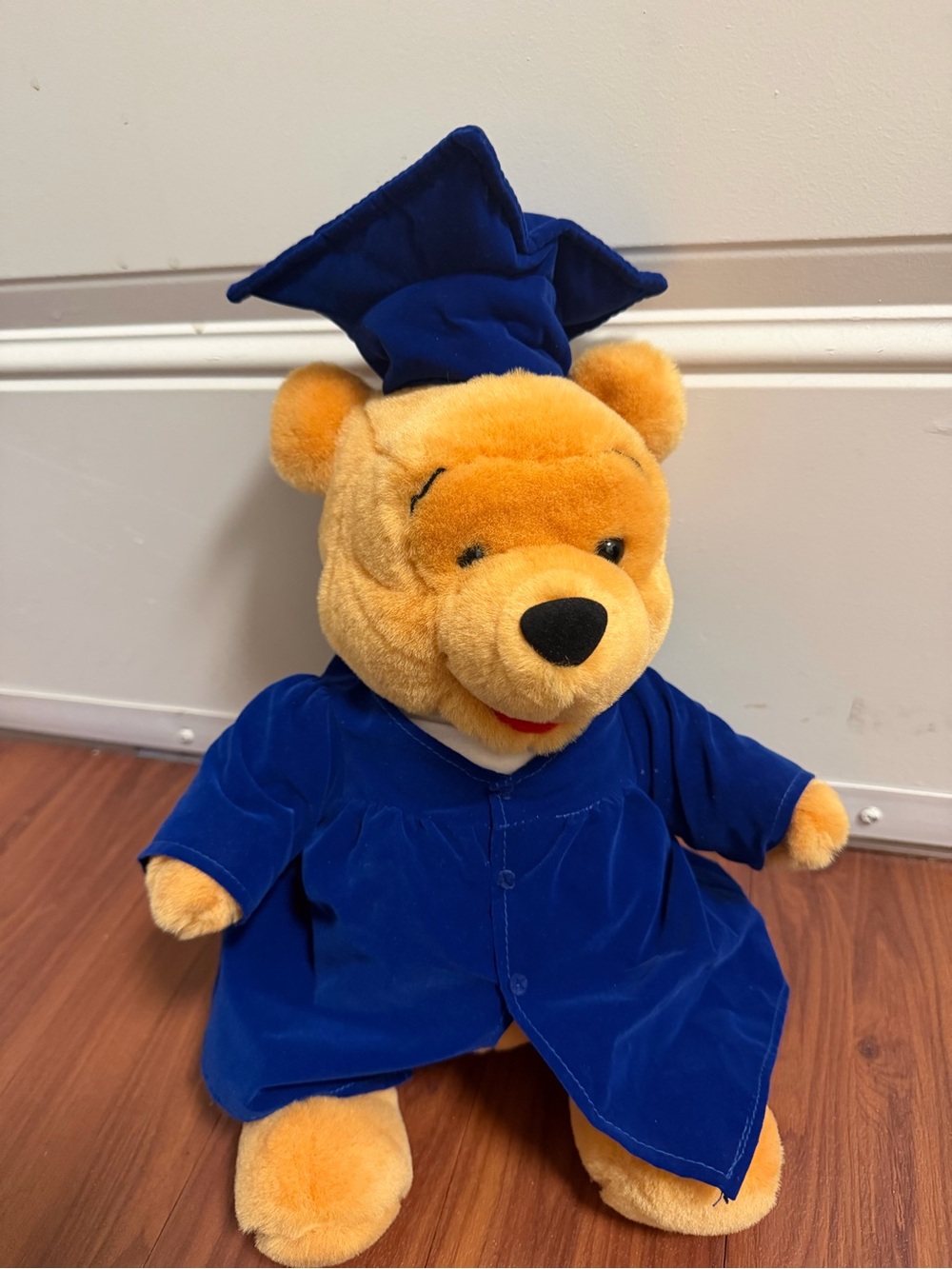 Disney Winnie the Pooh Graduation Stuffed Animal - Picture 3 of 6